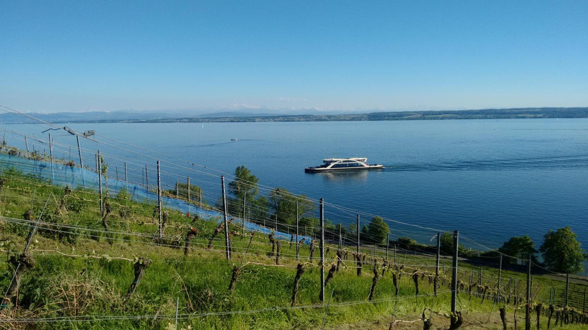 Haus Alexander Lejlighed Meersburg Eksteriør billede