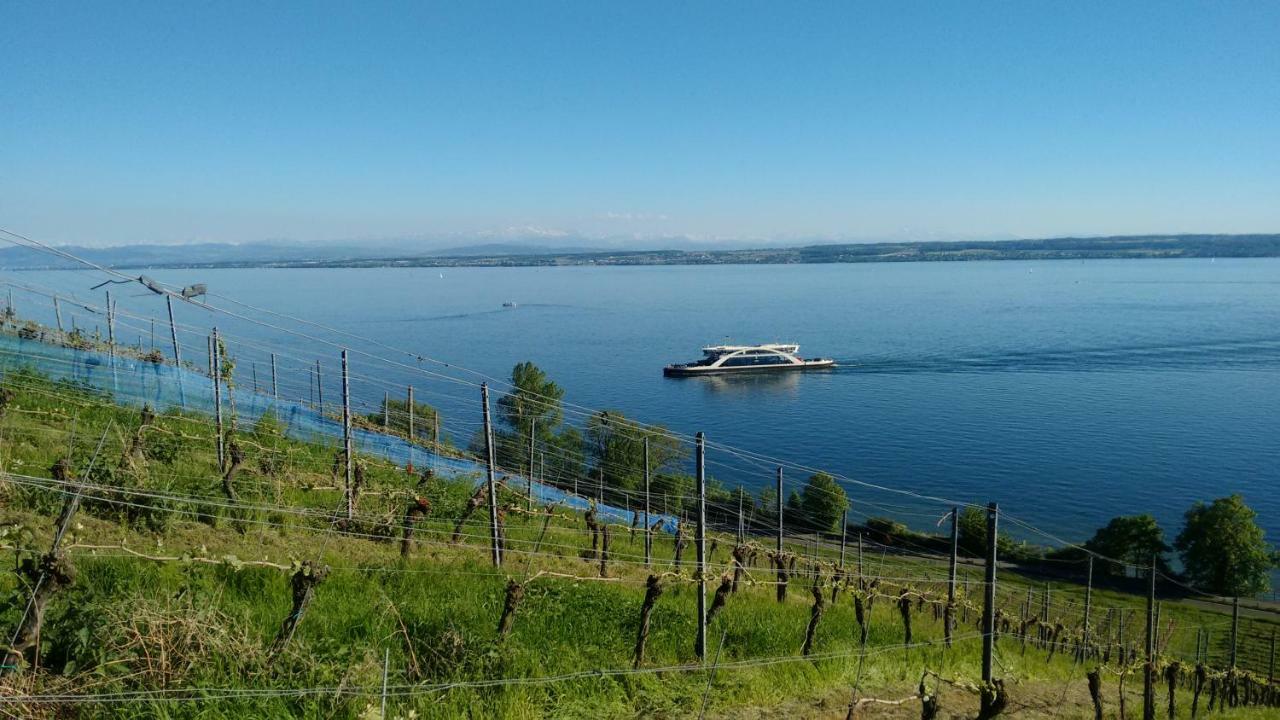 Haus Alexander Lejlighed Meersburg Eksteriør billede